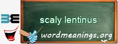 WordMeaning blackboard for scaly lentinus